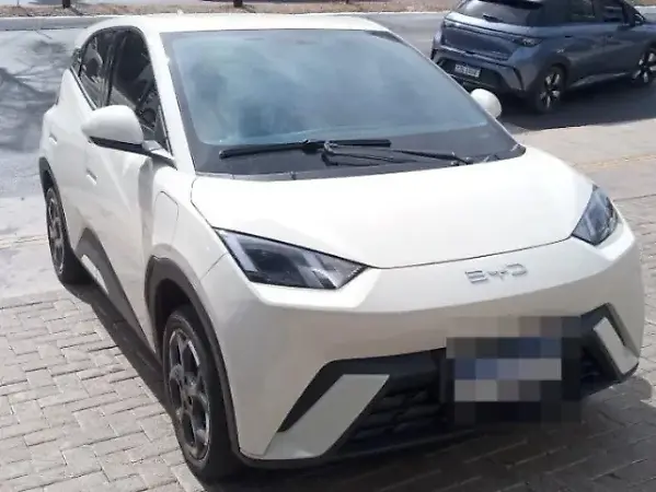 BYD Dolphin Mini - Imagem 1