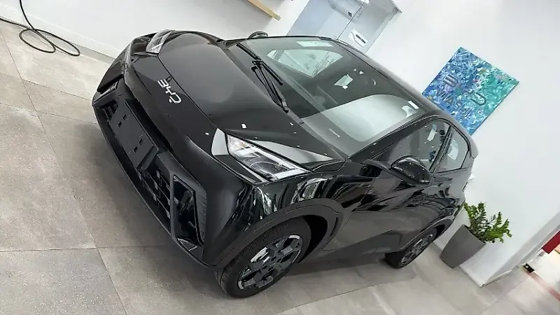 BYD Dolphin Mini - Imagem 1