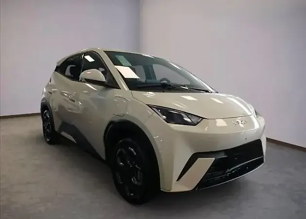 BYD Dolphin Mini - Imagem 1