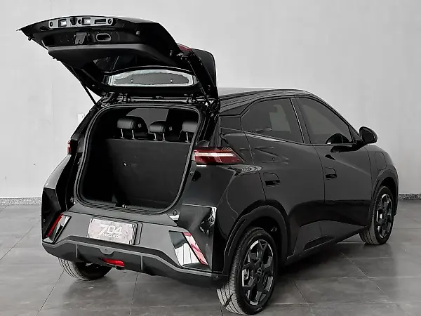 BYD Dolphin Mini - Imagem 5