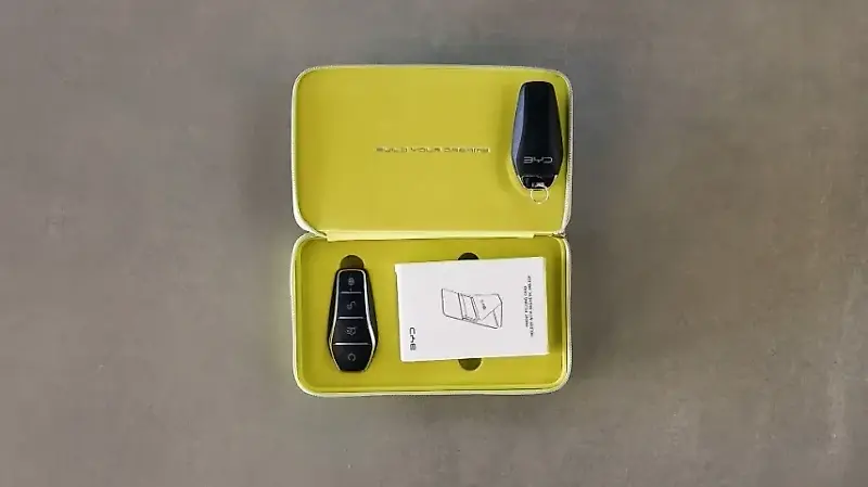 BYD Dolphin Mini - Imagem 2