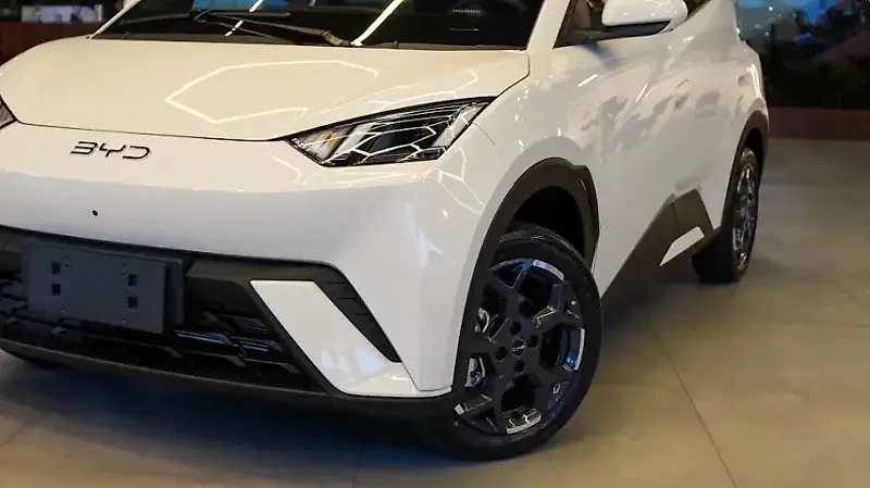 BYD Dolphin Mini - Imagem 4