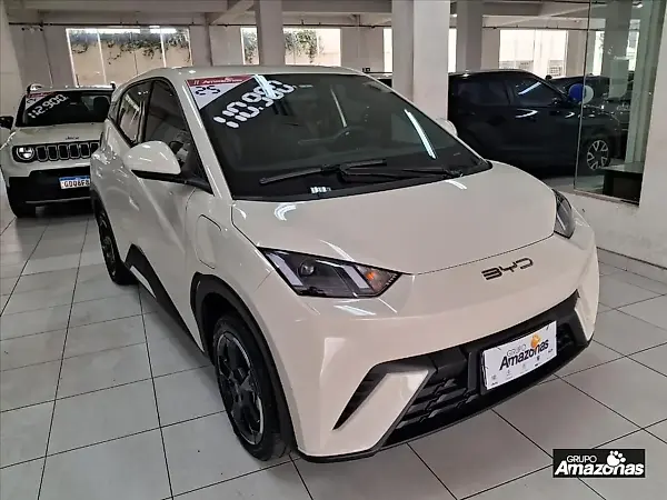 BYD Dolphin Mini - Imagem 1