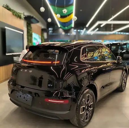 GWM Ora 5 - Imagem 2