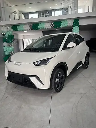 BYD Dolphin - Imagem 2
