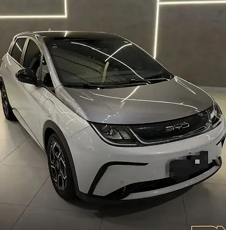 BYD Dolphin Plus - Imagem 1