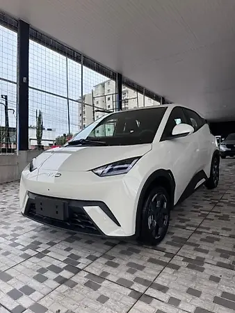 BYD Dolphin - Imagem 1