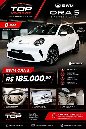 GWM Ora 5 - Imagem 1