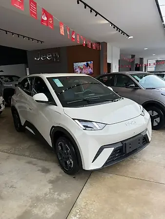 BYD Dolphin - Imagem 1