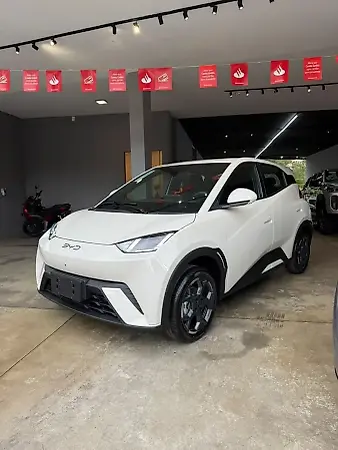 BYD Dolphin - Imagem 2