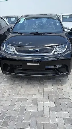 BYD Dolphin - Imagem 1