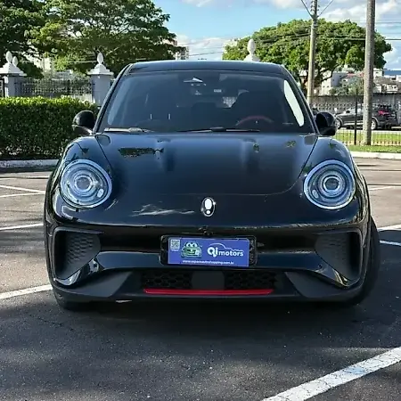 GWM Ora 03 - Imagem 2
