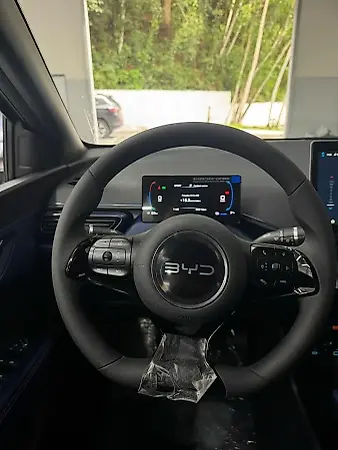 BYD Dolphin Mini - Imagem 5