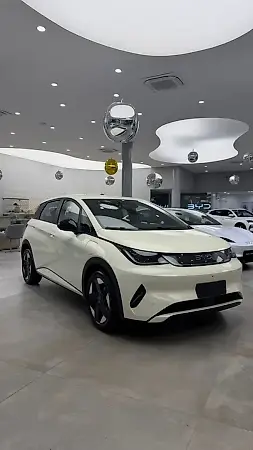 BYD Dolphin Special Edition - Imagem 4