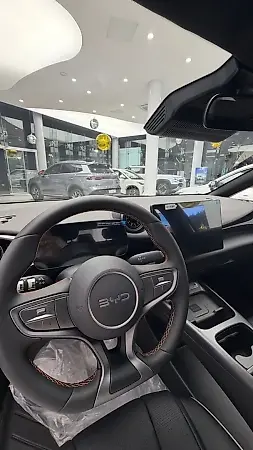 BYD Dolphin Special Edition - Imagem 3