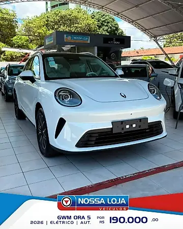 GWM Ora 03 - Imagem 1