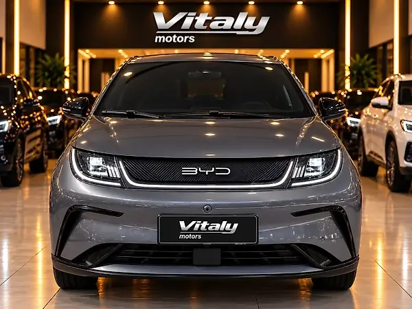 BYD Dolphin Plus - Imagem 1