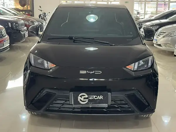 BYD Dolphin - Imagem 2