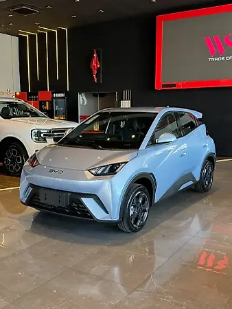 BYD Dolphin Mini - Imagem 1