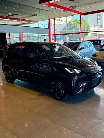 BYD Dolphin Mini - Imagem 3