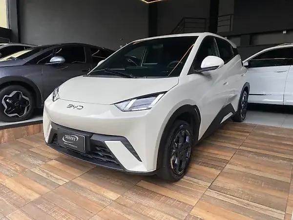 BYD Dolphin Mini - Imagem 2